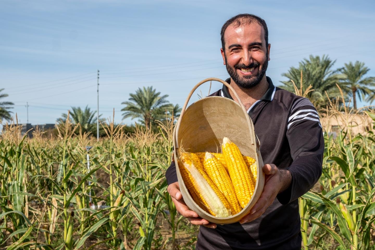 Training in Agriculture